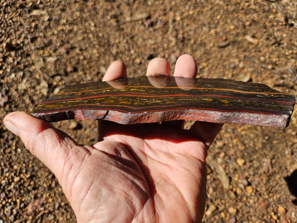 Polished Tiger Iron slab TI370