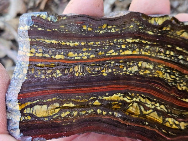 Polished Tiger Iron slab TI370