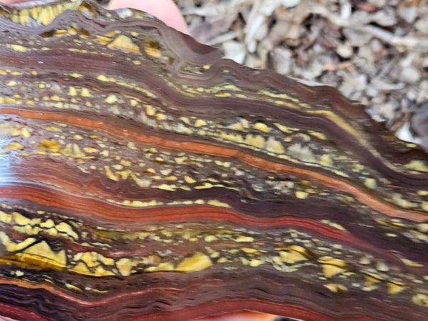 Polished Tiger Iron slab TI370