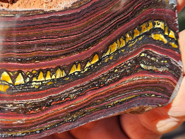 Polished Tiger Iron slab TI371