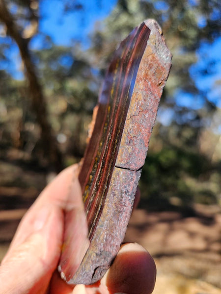Polished Tiger Iron slab TI371