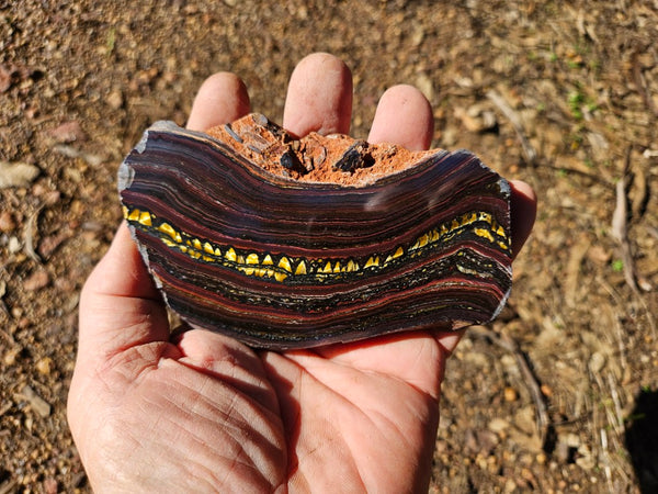 Polished Tiger Iron slab TI371