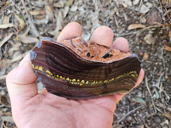 Polished Tiger Iron slab TI371