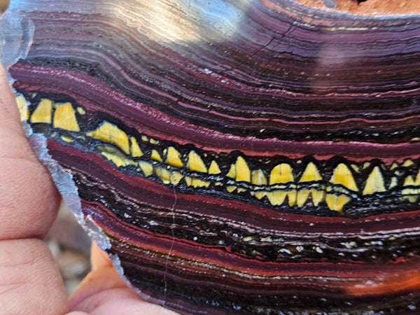 Polished Tiger Iron slab TI371