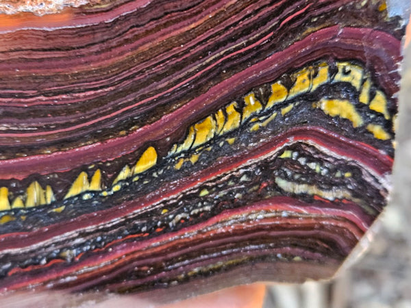Polished Tiger Iron slab TI371