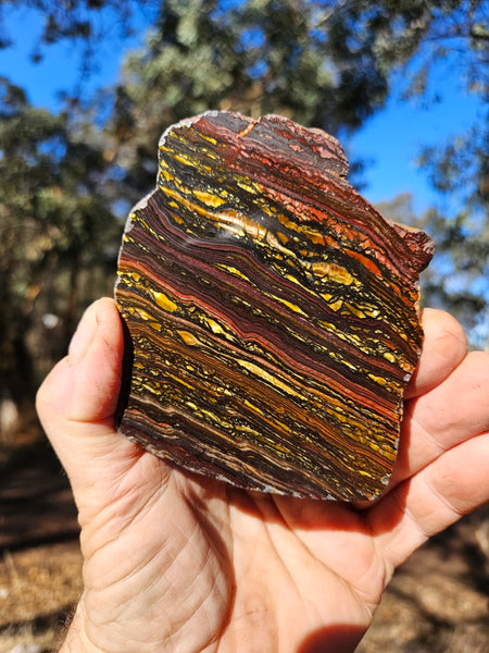 Polished Tiger Iron slab TI372