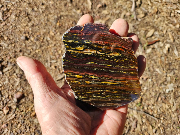 Polished Tiger Iron slab TI372
