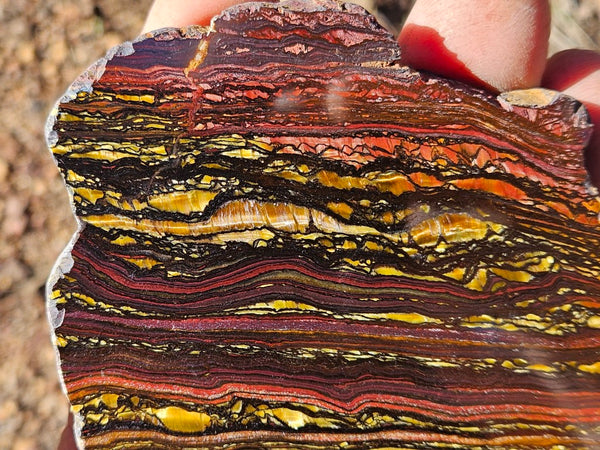 Polished Tiger Iron slab TI372