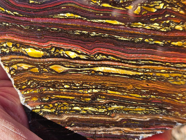 Polished Tiger Iron slab TI372