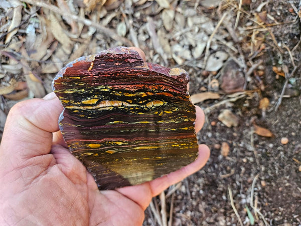 Polished Tiger Iron slab TI372