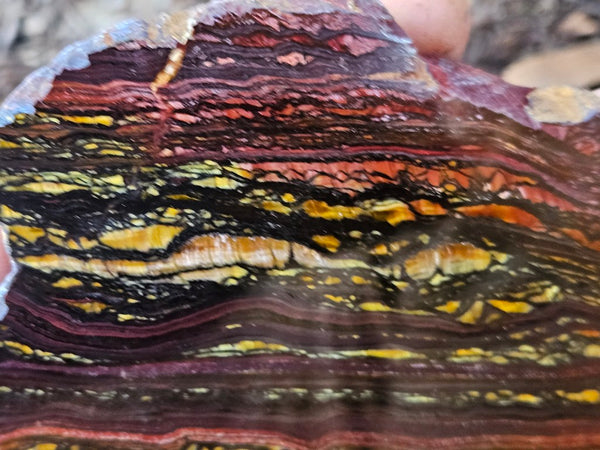 Polished Tiger Iron slab TI372