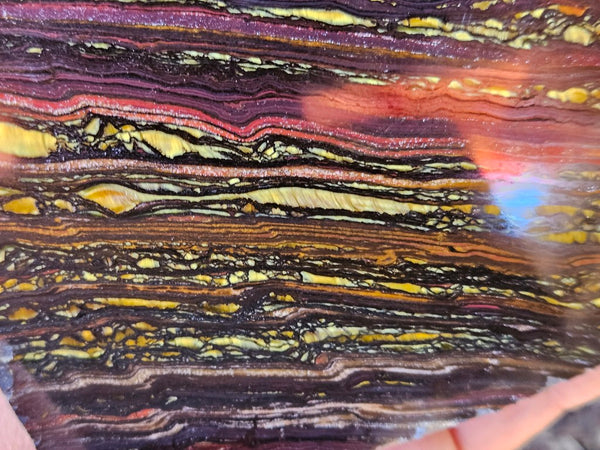 Polished Tiger Iron slab TI372