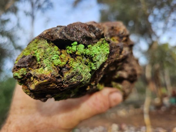 Gaspeite Polished Rock.  GT222