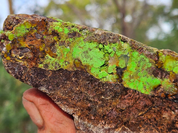 Gaspeite Polished Rock.  GT222