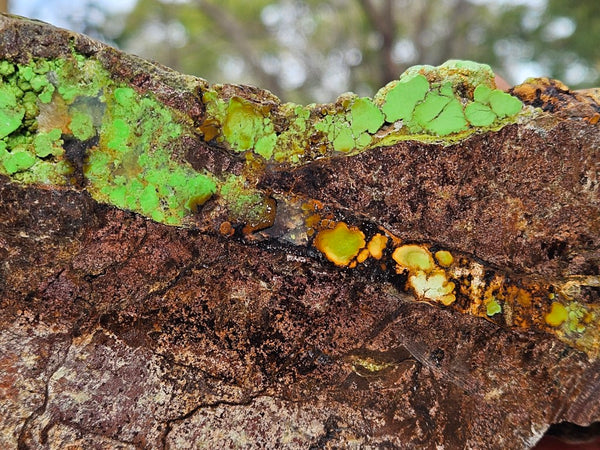 Gaspeite Polished Rock.  GT222
