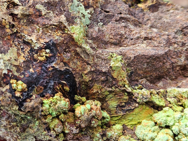 Gaspeite Polished Rock.  GT222