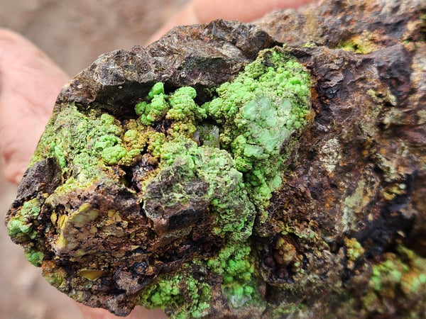 Gaspeite Polished Rock.  GT222