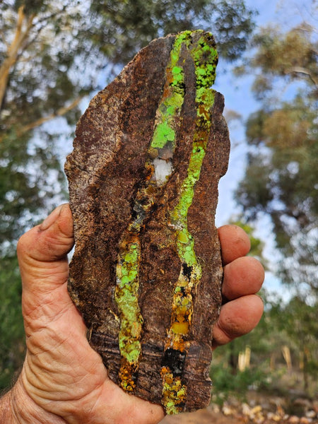 Gaspeite Polished Slab.  GT221