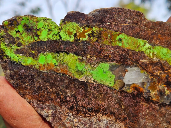 Gaspeite Polished Slab.  GT221