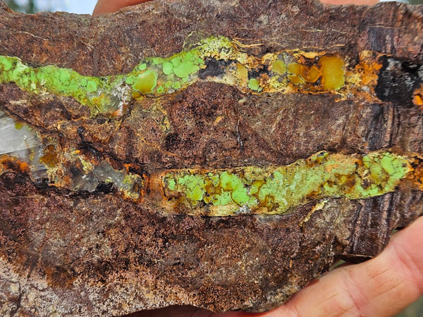 Gaspeite Polished Slab.  GT221