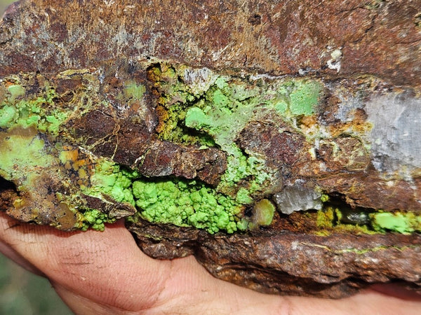 Gaspeite Polished Slab.  GT221