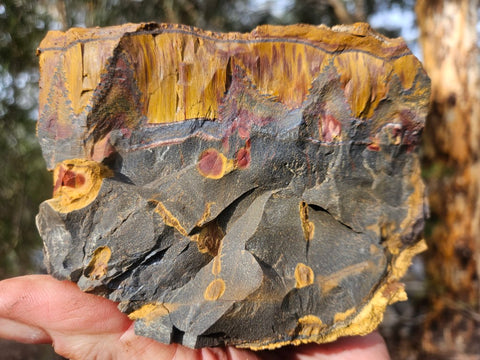 Marra Mamba Tiger Eye rough rock TER102