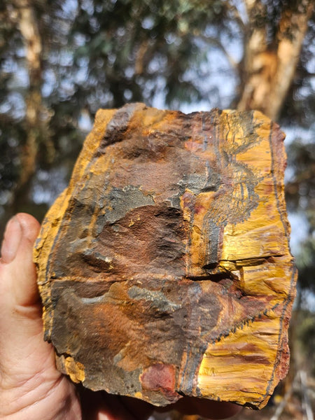 Marra Mamba Tiger Eye rough rock TER102