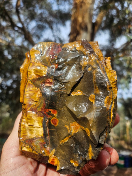 Marra Mamba Tiger Eye rough rock TER102
