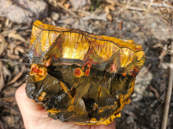 Marra Mamba Tiger Eye rough rock TER102