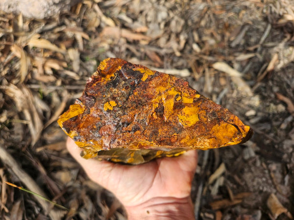 Marra Mamba Tiger Eye rough rock TER102