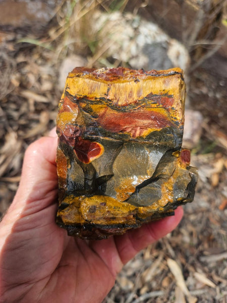 Marra Mamba Tiger Eye rough rock TER102