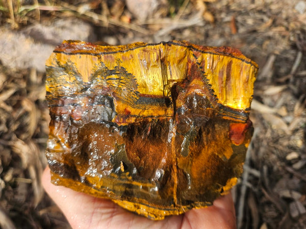 Marra Mamba Tiger Eye rough rock TER102