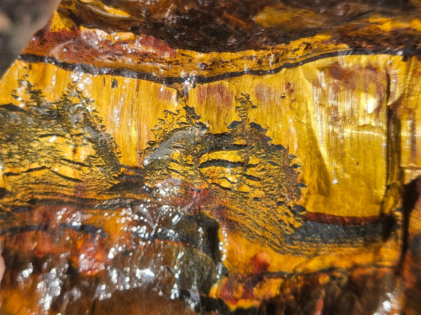 Marra Mamba Tiger Eye rough rock TER102
