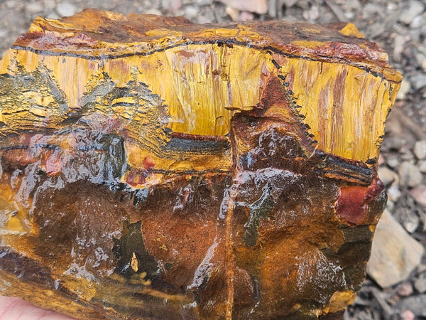 Marra Mamba Tiger Eye rough rock TER102