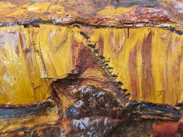 Marra Mamba Tiger Eye rough rock TER102