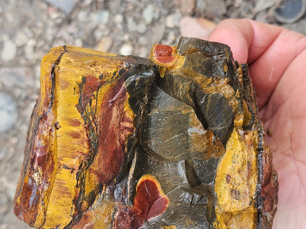 Marra Mamba Tiger Eye rough rock TER102