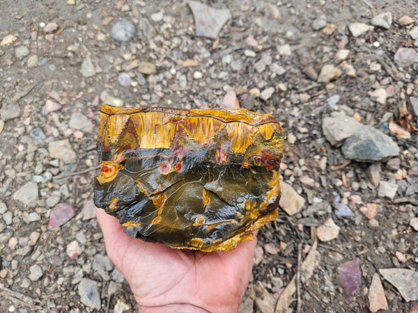 Marra Mamba Tiger Eye rough rock TER102