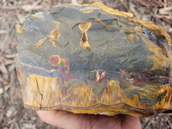Marra Mamba Tiger Eye rough rock TER101