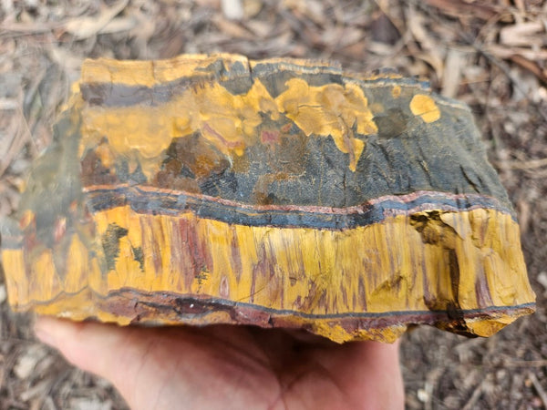 Marra Mamba Tiger Eye rough rock TER101