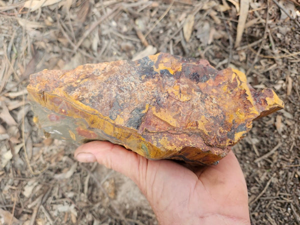 Marra Mamba Tiger Eye rough rock TER101