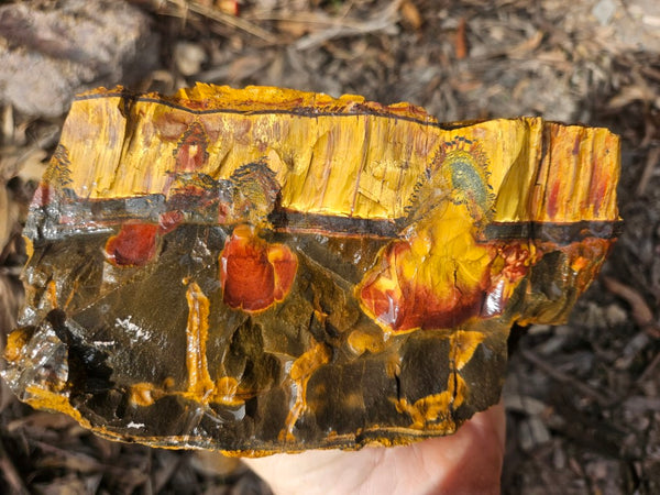 Marra Mamba Tiger Eye rough rock TER101