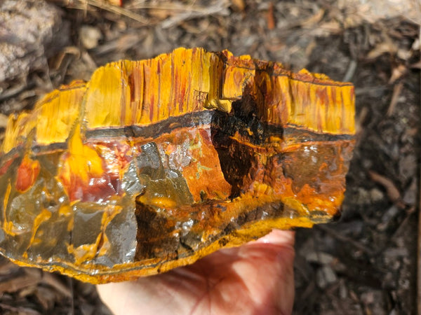 Marra Mamba Tiger Eye rough rock TER101