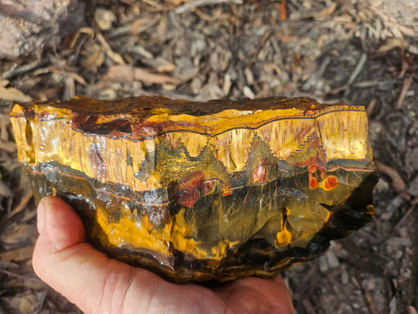 Marra Mamba Tiger Eye rough rock TER101