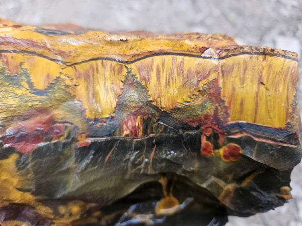 Marra Mamba Tiger Eye rough rock TER101