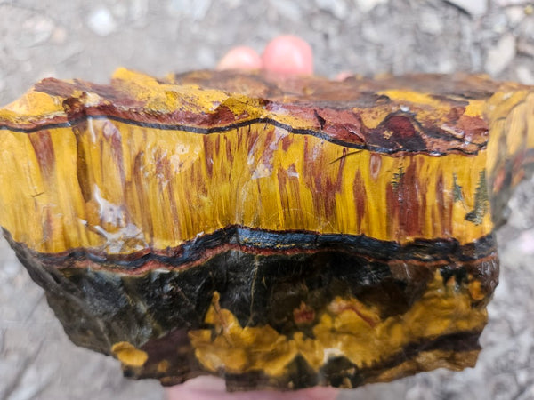 Marra Mamba Tiger Eye rough rock TER101