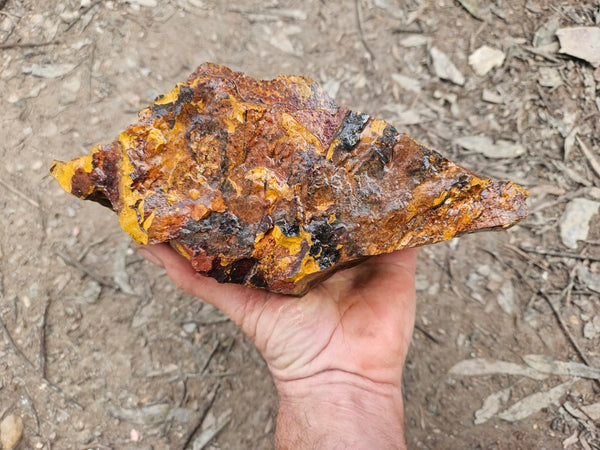 Marra Mamba Tiger Eye rough rock TER101