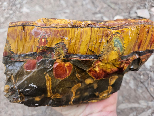 Marra Mamba Tiger Eye rough rock TER101