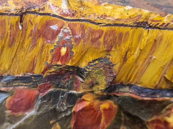Marra Mamba Tiger Eye rough rock TER101