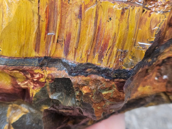 Marra Mamba Tiger Eye rough rock TER101