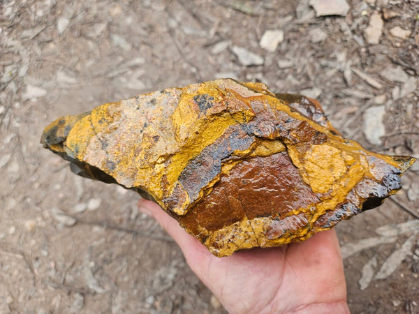 Marra Mamba Tiger Eye rough rock TER101